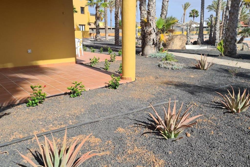 Appartamento Beautiful Garden Flat Nearly Refurbished Free Wifi